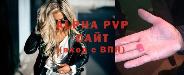 PSILOCYBIN Каменка