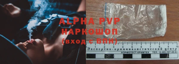 PSILOCYBIN Каменка
