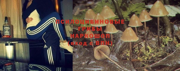 PSILOCYBIN Каменка