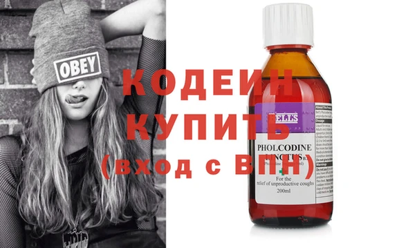 PSILOCYBIN Каменка