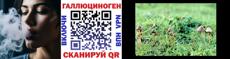 Купить где  Луза  Галлюциногенные грибы мухоморы 